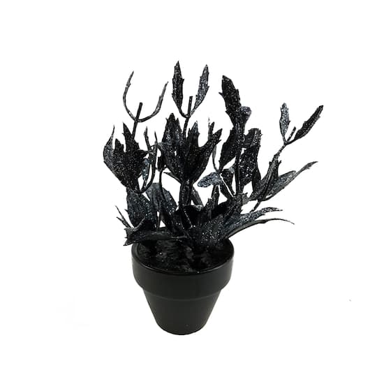 Assorted Mini Black Potted Succulent, 1pc. by Ashland®